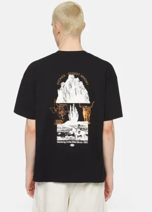 Dickies Men Pearisburg T-Shirt Black