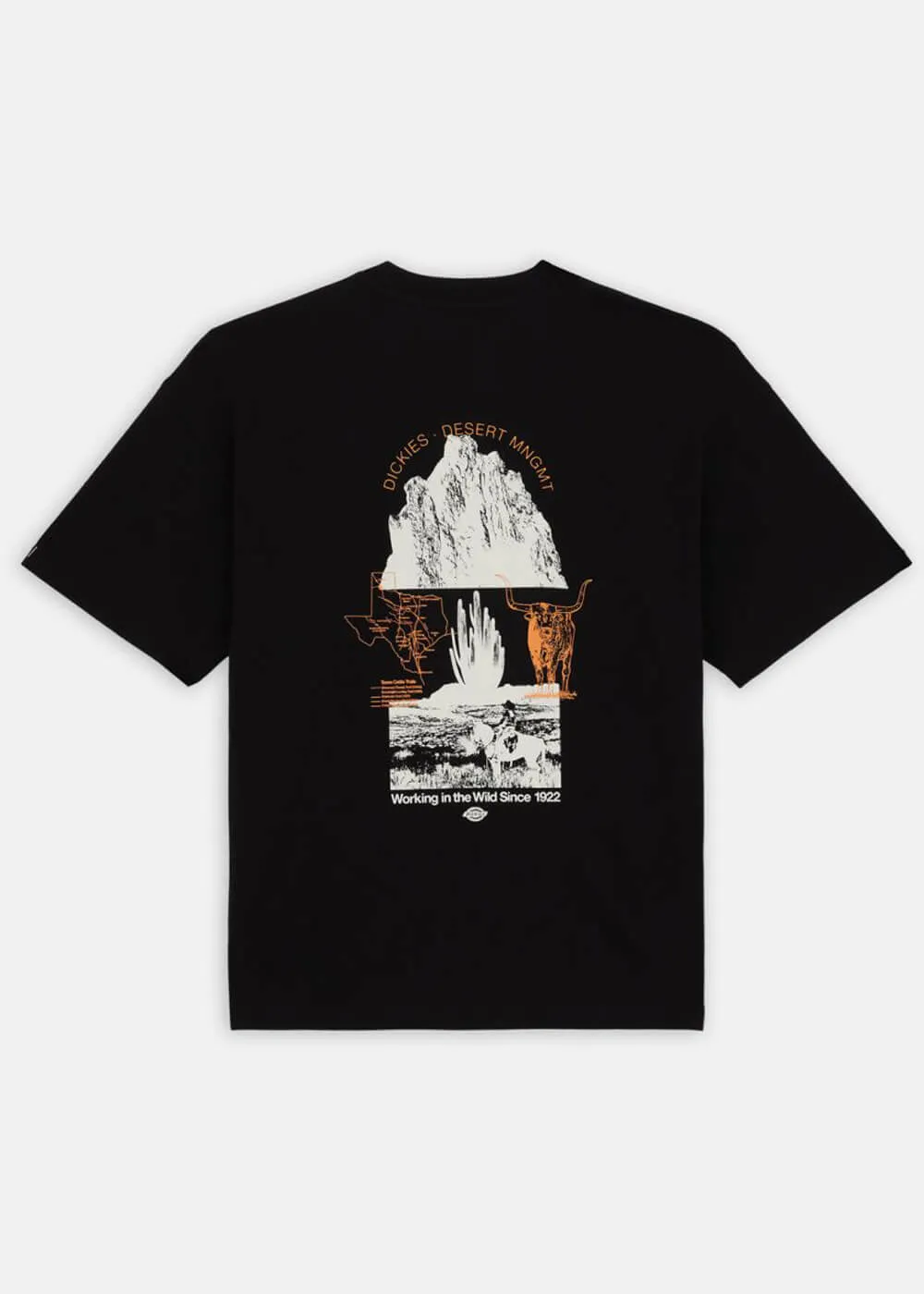 Dickies Men Pearisburg T-Shirt Black