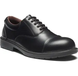 Safety Shoe Oxford II Dickies / Buy Online