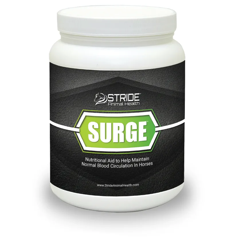 Surge